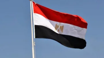 مصر: الهجمات الإسرائيلية تعد انتهاكاً لسيادة سوريا ولبنان وخرقاً للقانون الدولي