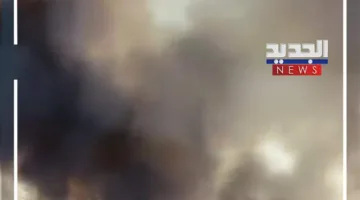 استمرار حرائق الغابات! (فيديو)