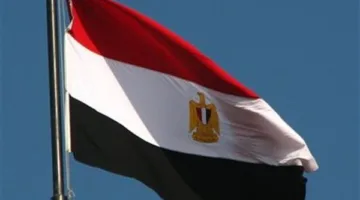 مصر تندد بالهجمات الإسرائيلية المتكررة على الأراضي اللبنانية والسورية