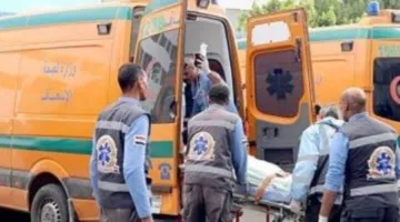 وفاة شخص وإصابة صديقه في حادث اصطدام بالفيوم
