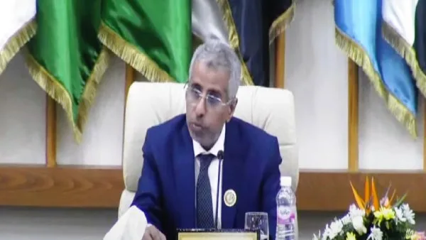الأمين العام لمجلس وزراء الداخلية العرب: نسعى لتقليل حوادث السير الأمين العام لمجلس وزراء الداخلية العرب: نسعى لتقليل حوادث السير