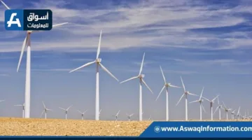 بقدرة 200 ميجاوات.. الحكومة تمنح الرخصة الذهبية لمشروع “طاقة الرياح” في خليج السويس