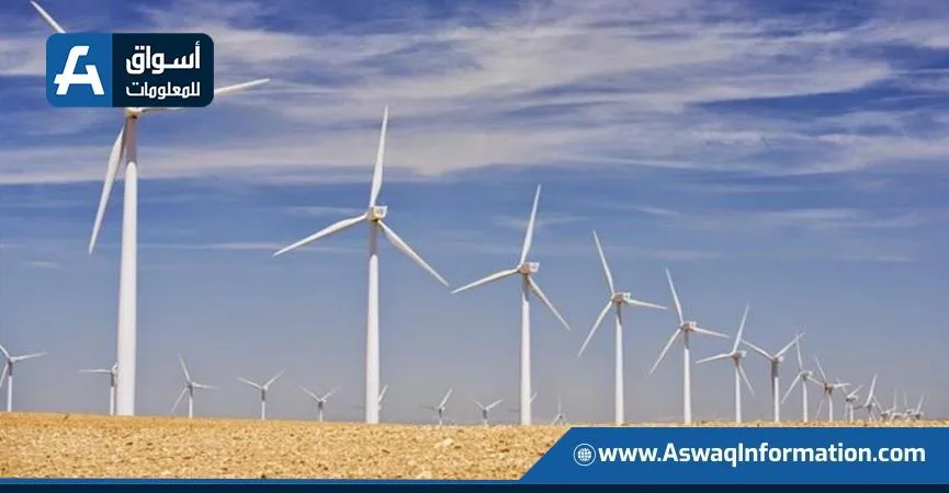 بقدرة 200 ميجاوات.. الحكومة تمنح الرخصة الذهبية لمشروع “طاقة الرياح” في خليج السويس