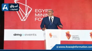 وزير البترول يؤكد على أهمية استغلال نتائج “مصر للتعدين” في تطوير قطاع الصناعة