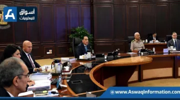 مجلس الوزراء يخصص قطعة أرض لبناء مستودعين لتلبية احتياجات المصانع في السويس