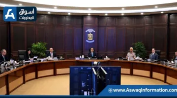 مجلس الوزراء يصدر قرارًا حول إدارة مصنع أبو جريدة لإعادة تدوير النفايات في دمياط