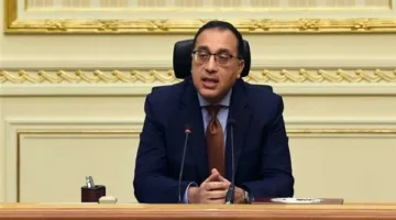 مدبولي: يوجد أشخاص من خارج مصر يكرّسون جهودهم للهجوم على الدولة ومحاولة نشر فكرة اليأس.
