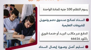رسوم الطعن على نتائج الدبلومات الفنية 2025 الدور الأول «مخطط بياني»