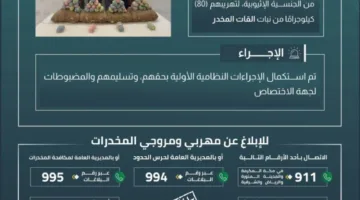 حرس الحدود في عسير يعتقل أربعة أشخاص مخالفين لنظام أمن الحدود لتورطهم في تهريب 80 كيلوجرامًا من نبات القات المخدر.