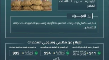 حرس الحدود في جازان ينجح في ضبط 160 كيلوغرامًا من نبات القات المهرب