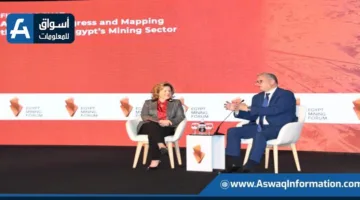 وزير البترول: الفترة القادمة ستشهد عمليات مسح جوي لاستكشاف المعادن للمرة الأولى منذ الثمانينات