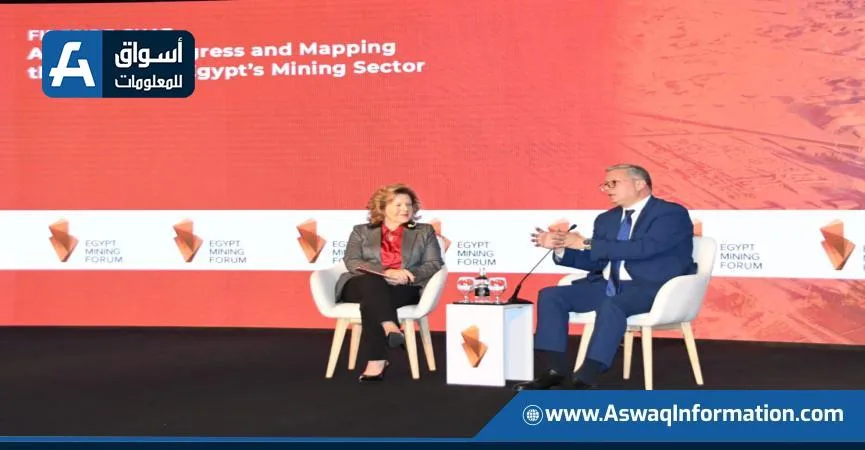 وزير البترول: الفترة القادمة ستشهد عمليات مسح جوي لاستكشاف المعادن للمرة الأولى منذ الثمانينات وزير البترول: الفترة القادمة ستشهد عمليات مسح جوي لاستكشاف المعادن للمرة الأولى منذ الثمانينات