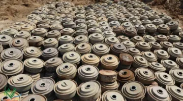 مشروع مسام التابع لمركز الملك سلمان للإغاثة يزيل 1,171 لغمًا من الأراضي اليمنية