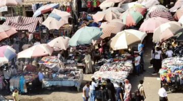 محافظ كفر الشيخ: مناطق مخصصة للبائعين المتجولين داخل الأسواق الحضارية