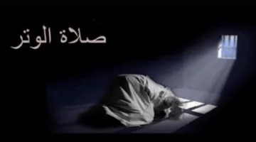 طريقة أداء صلاة الوتر: ثلاث ركعات متصلة أو ركعتان ثم ركعة – ما ورد عن النبي.