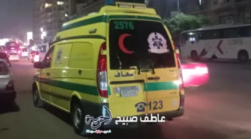 بينهن 8 فتيات: قائمة بأسماء الجرحى في حادث تصادم سيارتين على طريق الروضة بالفيوم