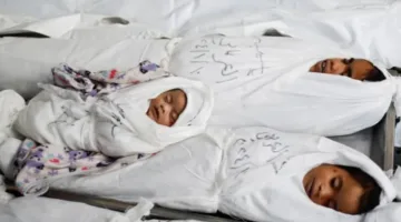 يوم مأساوي وحرب إبادة مستمرة.. استشهاد 85 شخصًا، بينهم أطفال ومصابين بسلسلة مجازر إسرائيلية جديدة في مناطق مختلفة من قطاع غزة منذ الفجر.