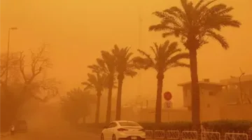 اجتياح الطقس القاسي لأسوان.. عاصفة غبارية تعيق الرؤية على الطرقات