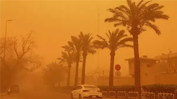 اجتياح الطقس القاسي لأسوان.. عاصفة غبارية تعيق الرؤية على الطرقات اجتياح الطقس القاسي لأسوان.. عاصفة غبارية تعيق الرؤية على الطرقات