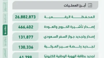 35.2 مليون خدمة إلكترونية تمت من خلال “أبشر” في شهر واحد