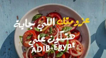 عروض التخفيضات وخطط التقسيط من مصرف أبوظبي الإسلامي في مصر خلال أحدث فعاليات ساعة السعادة.