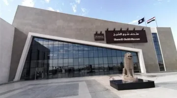 متحف شرم الشيخ يستمر في تنفيذ مشروع “المقبرة الحية” ضمن أنشطة البرنامج الصيفي