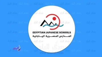 لخرجي الجامعات حديثاً: كيفية التقديم لوظيفة معلم متدرب في المدارس اليابانية المصرية ورابط التقديم