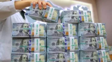 مصادرة قضايا عملات أجنبية بقيمة 4 ملايين جنيه