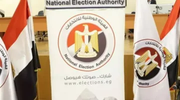 غدًا.. الهيئة الوطنية للانتخابات تكشف عن القائمة النهائية لمترشحي مجلس الشيوخ