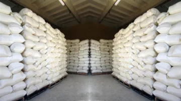 أرباح شركة مطاحن وسط وغرب الدلتا تصل إلى 419.9 مليون جنيه في السنة المالية 2024/2025.