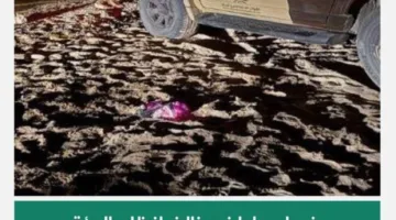 الجهات البيئية تنقض على مواطن متجاوز لنظام البيئة في محمية الأمير محمد بن سلمان الملكية