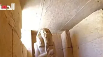 حضارتنا من منظور جديد: رؤية غير معتادة لتمثال زوسر في سقارة (فيديو)
