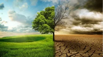 اتحاد البحر الأبيض المتوسط: دول المنطقة تواجه زيادة في درجات الحرارة وارتفاع ملوحة التربة.