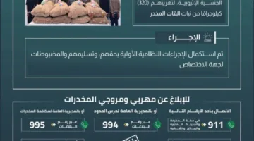 حرس الحدود في جازان يعتقل 9 أشخاص خالفوا نظام أمن الحدود أثناء تهريب 320 كيلوجرامًا من نبات القات المخدر.