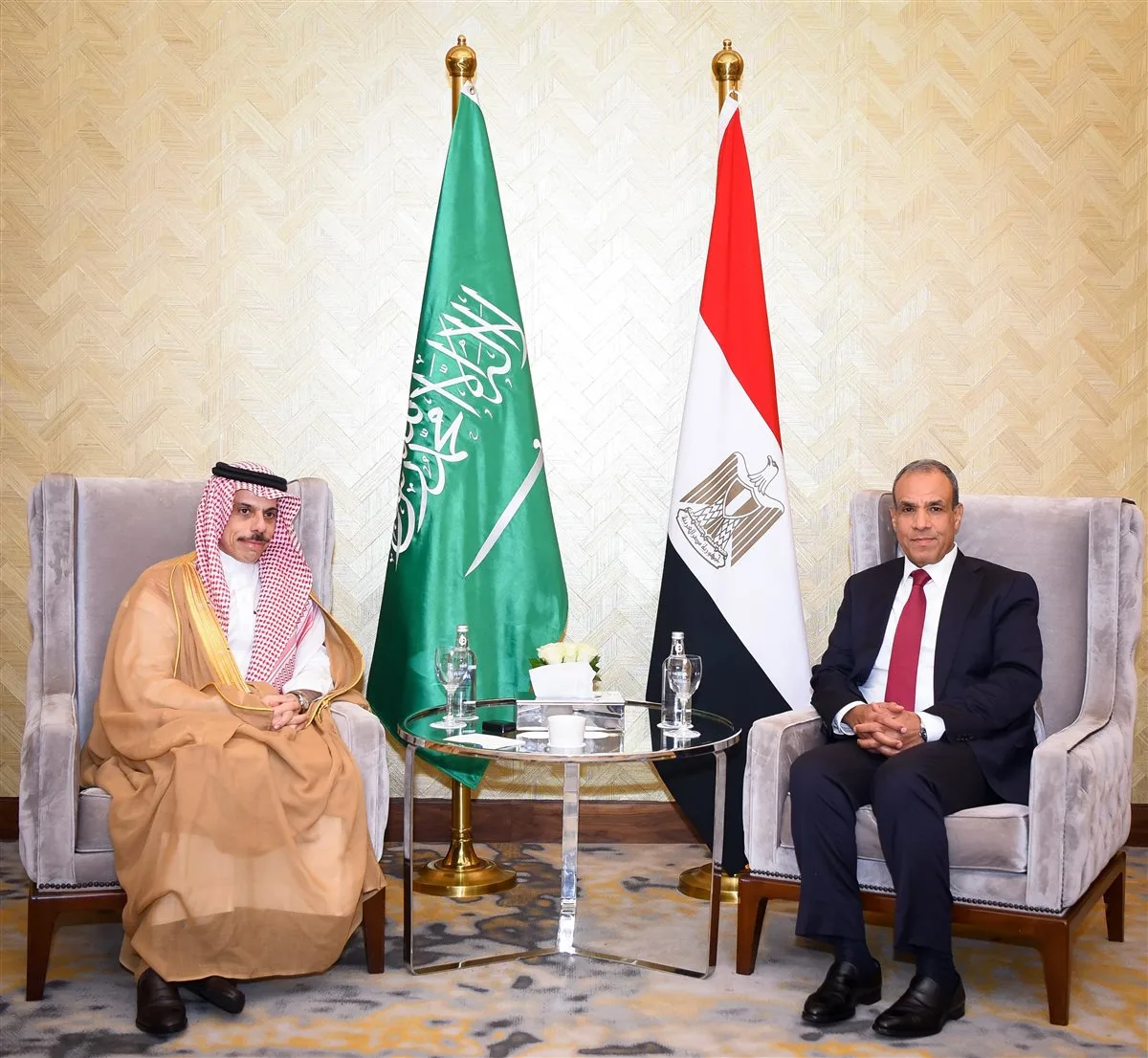 وزير الخارجية المصري والسعودي: نؤكد على أهمية انسحاب إسرائيل من سوريا