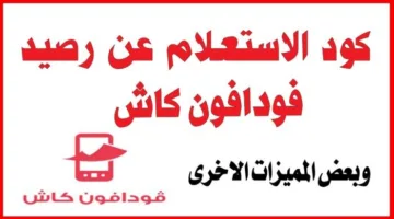 كيفية التحقق من رصيد فودافون كاش: طرق مجانية للاستفسار وأبسط كود لعام 2025