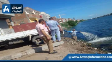 زيادة جهود إطلاق زريعة الأسماك في عدة محافظات على مستوى البلاد (تفاصيل)