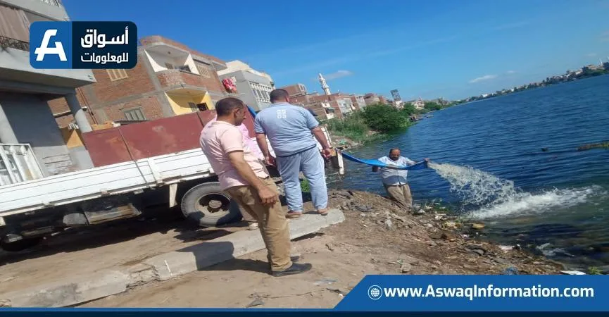 زيادة جهود إطلاق زريعة الأسماك في عدة محافظات على مستوى البلاد (تفاصيل) زيادة جهود إطلاق زريعة الأسماك في عدة محافظات على مستوى البلاد (تفاصيل)