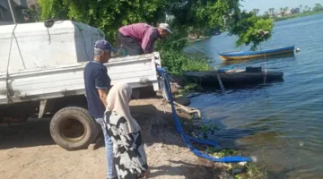 جهاز حماية وتنمية البحيرات والثروة السمكية يوزع آلاف الوحدات من اليرقات في نهر النيل