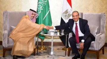 وزير الخارجية: نعتبر محاولات التأثير على العلاقات المصرية السعودية أمراً مرفوضاً.