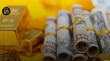 اختلاف سعر الدولار.. انخفاض الذهب.. وتعزيز التعاون بين الحكومة والقطاع الخاص