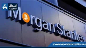 مورغان ستانلي يتنبأ بارتفاع قادم في الأسهم الأمريكية بعد تصحيح مؤقت منتظر.