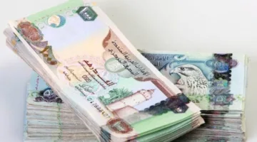 سعر صرف الدرهم الإماراتي مقابل الجنيه المصري بتاريخ 18 يوليو 2025، يوم الجمعة