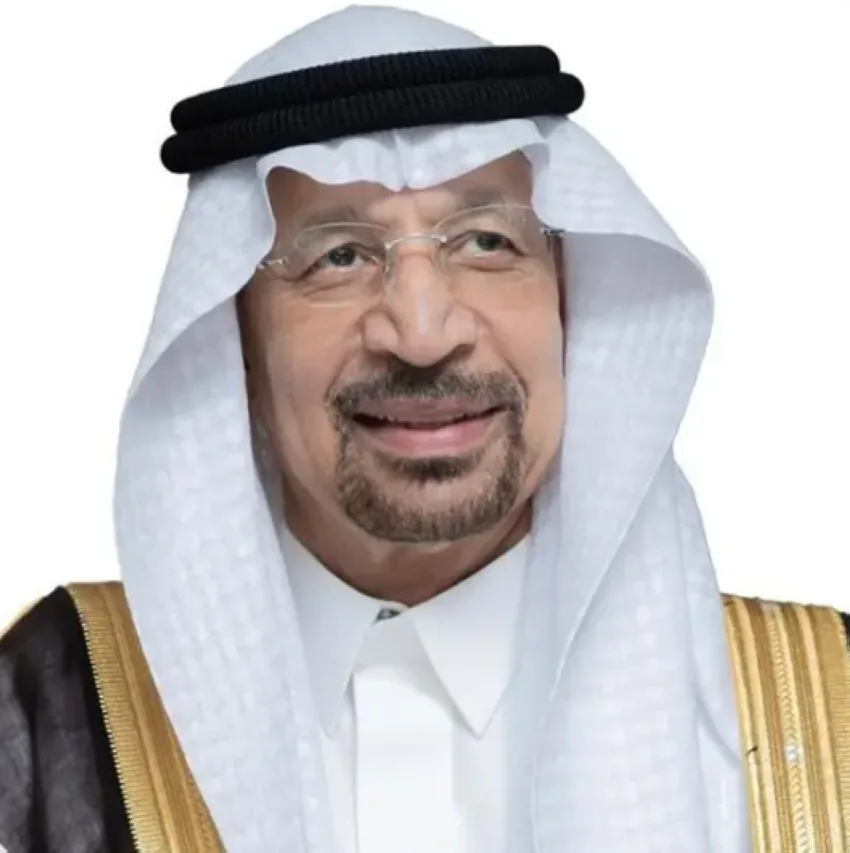 وزير الاستثمار يلتقي بنظيره الهندي من قطاع التجارة والصناعة