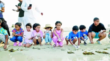 تسجيل 219 عشاً للسلحفاة خلال الموسم الجاري