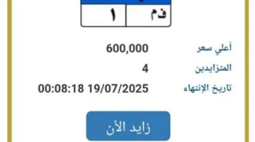 مزاد مثير على لوحة سيارة فريدة يصل إلى 600 ألف جنيه
