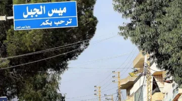 توغل القوات الإسرائيلية في ميس الجبل وإحراق جرافتين (فيديو)