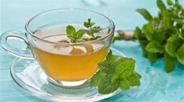 مزايا تناول شاي النعناع.. من أهمها دعم صحة الدماغ وأداء وظائفه العقلية
