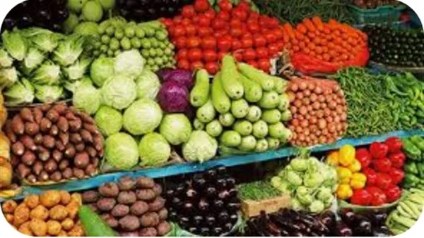أسعار الخضروات والفواكه في أسواق الوادي الجديد أسعار الخضروات والفواكه في أسواق الوادي الجديد