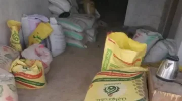 محافظ المنوفية: تسجيل 208 محاضر مخالفات وضبط 3.5 طن من الأعلاف غير المعروفة المصدر